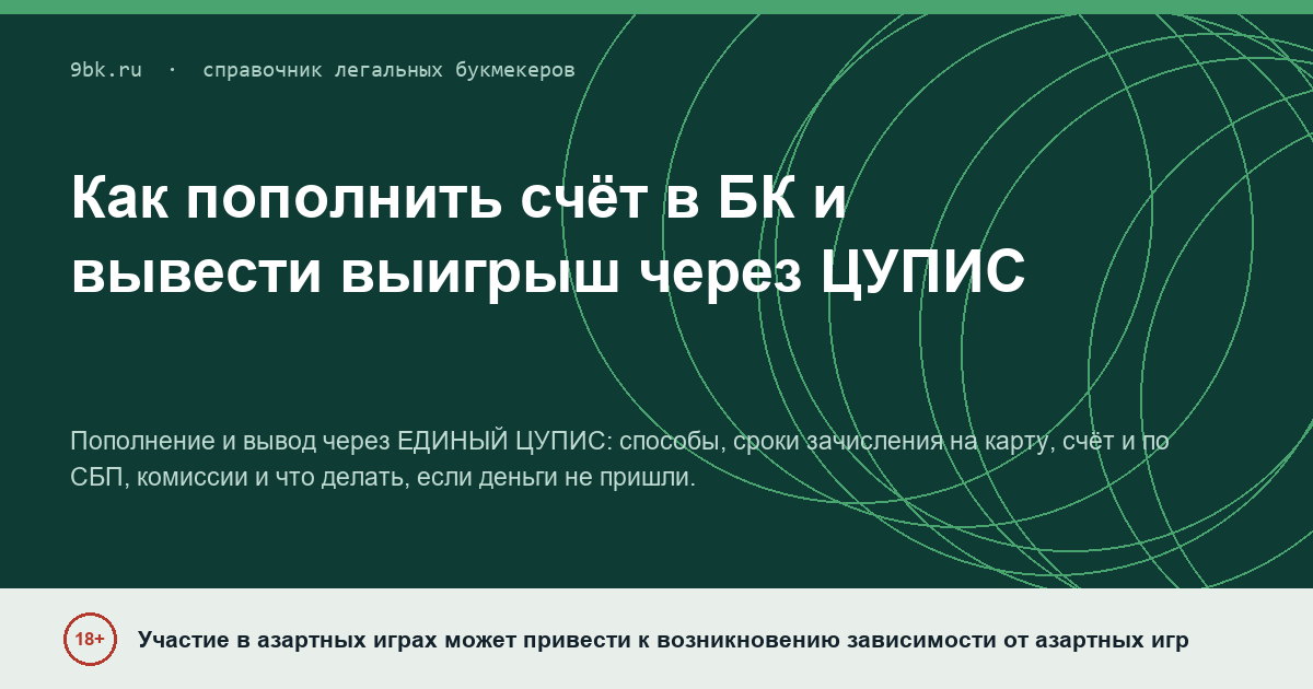 Обложка материала: Пополнение и вывод через ЕДИНЫЙ ЦУПИС